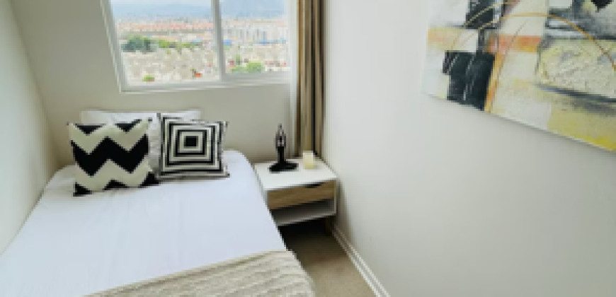 Departamento Alto Hacienda