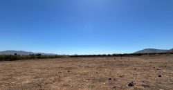 Terreno 5.000 m2 – Reserva Ripamonti